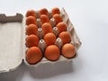 Pack of brown fresh raw chicken eggs in a white carton egg box on a white background close up Royalty Free Stock Photo