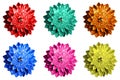 Pack of colored surrealistic fantasy flowers macro isolated