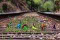 Pack of dinosaurs walking away on railroad tracks