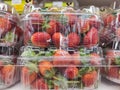 A pack of fresh Strawberies Royalty Free Stock Photo