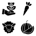 Pack of Fruit and Vegetable Solid Icons