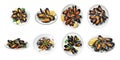 Pack of Gastronomic artistry mussels on Transparent Background Royalty Free Stock Photo