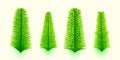 Pack green leaves new design for christmas decoration