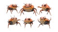 Pack Hug Bug set in Different Poses Against Transparent Background for Cute Illustrations, Insect Art, or Adorable Designs Royalty Free Stock Photo