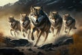 Pack of hungry wolves hunting in winter