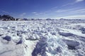 Pack ice Eastern Greenland