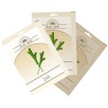 Pack of Leek seeds icon Royalty Free Stock Photo