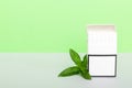 Pack of menthol cigarettes and fresh mint on colored table, Menthol cigarettes top view flat lay Royalty Free Stock Photo