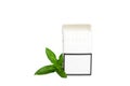 Pack of menthol cigarettes and fresh mint on colored table, Menthol cigarettes top view flat lay Royalty Free Stock Photo