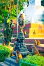 Pack of monkeys in Swayambhunath Complex in Kathmandu