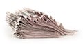 A pack of newspapers isolated Royalty Free Stock Photo