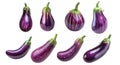 Pack of Purple eggplants set against transparent background Royalty Free Stock Photo