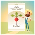 Pack of Radish seeds icon