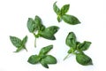 Basilico, basil leaves isolated on white background