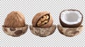 Pack of Walnuts Coconut and Ceramic Bowls A Visual Delight against transparent Background Royalty Free Stock Photo