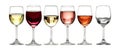 Pack of Wine Tasting A Guide to Different Wine Types set against transparent background Royalty Free Stock Photo