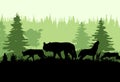 Pack of wolves at edge of coniferous forest in taiga. Silhouette picture. Wild animal in nature. Predator in natural