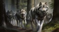 Pack of Wolves Moving Through Forest