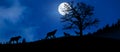 Pack of wolves in the woods with a full moon