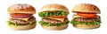 Pack of Zinger or Patty Burger on Transparent Background Royalty Free Stock Photo