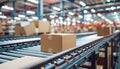 Package boxes with ordered goods Huge fulfillment center of giant e-commerce company moving on Power Conveyor. Retail commerce Royalty Free Stock Photo