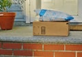 Package Delivery Residential House Amazon Order on Front Doorstep Homer