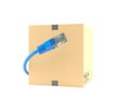Package with network cable Royalty Free Stock Photo