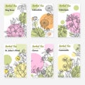 Package templates for herbal tea