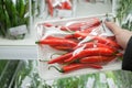 Packaged chili peppers with woman hand in the supermarket
