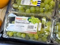 Packaged green thompson seedless grapes displayed in grocery store Royalty Free Stock Photo