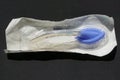 Packaged Laryngeal mask airway for emergency medical help on a black background Royalty Free Stock Photo