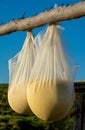 Packages with cheese hanging to dry at the sheepfold Royalty Free Stock Photo