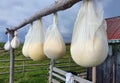 Packages with cheese hanging to dry at the sheepfold Royalty Free Stock Photo