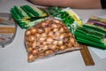 packages of onion seeds family on a shelf in a gardening store in Belarus Minsk January 27, 202. preparation for spring sowing.