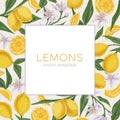 Packaging or cover template with fresh citrus fruits, leaves and flowers of blooming lemon tree. Design of square card