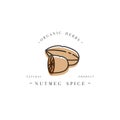 Packaging design template logo and emblem - herb and spice - nutmeg nut. Logo in trendy linear style. Royalty Free Stock Photo