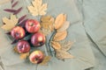 Packaging in kraft paper using autumn yellow leaves and apples. Autumn background. Top view. Copy space