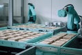 packaging and sorting robot, sorting products into different boxes and crates