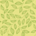 Packaging tea leaves organic seamless pattern vector.