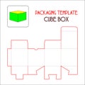Packaging Template Cube Box