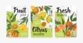 Packaging templates with tropical citrus fruits. Set of lemon, orange, mandarin, tangerine and grapefruit backgrounds or