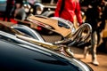 Packard Swan | THE MOST ICONIC HOOD ORNAMENTS OF ALL TIME , Vintage Car Delhi India