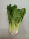 Packchoy vegetables Royalty Free Stock Photo