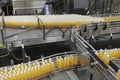 Packed bottles moving on conveyor belt