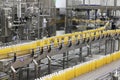 Packed bottles moving on conveyor belt in bottling industry Royalty Free Stock Photo