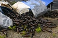 Packed bottles in pallets, lots of empty broken bottles on asphalt and garbage from production abandoned glass factory