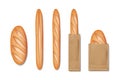 Packed french baguette bread. Set of tasty baked goods for breakfast. Realistic baguette bread and loaf isolated. vector