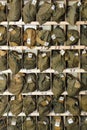 Packed gas-masks in cells