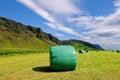 Packed hay bale