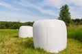 Packed in white plastic polyethylene haystacks. Haystacks in PVC film packaging with modern technology on the green summer field